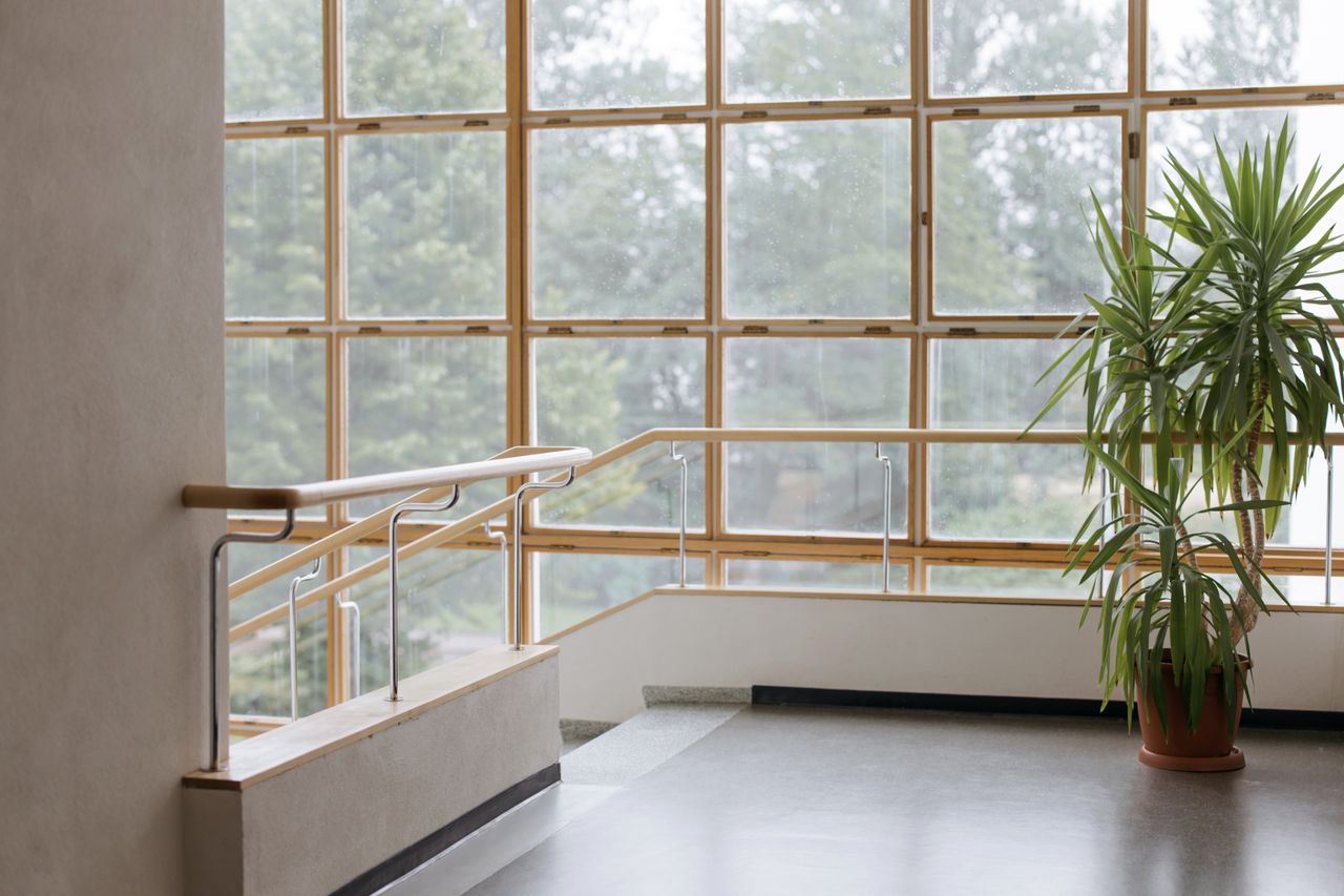 our-mission Spacious interior staircase with large grid windows, modern railing, and potted plant.